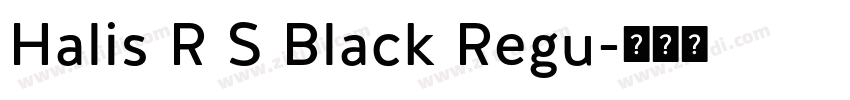 Halis R S Black Regu字体转换
